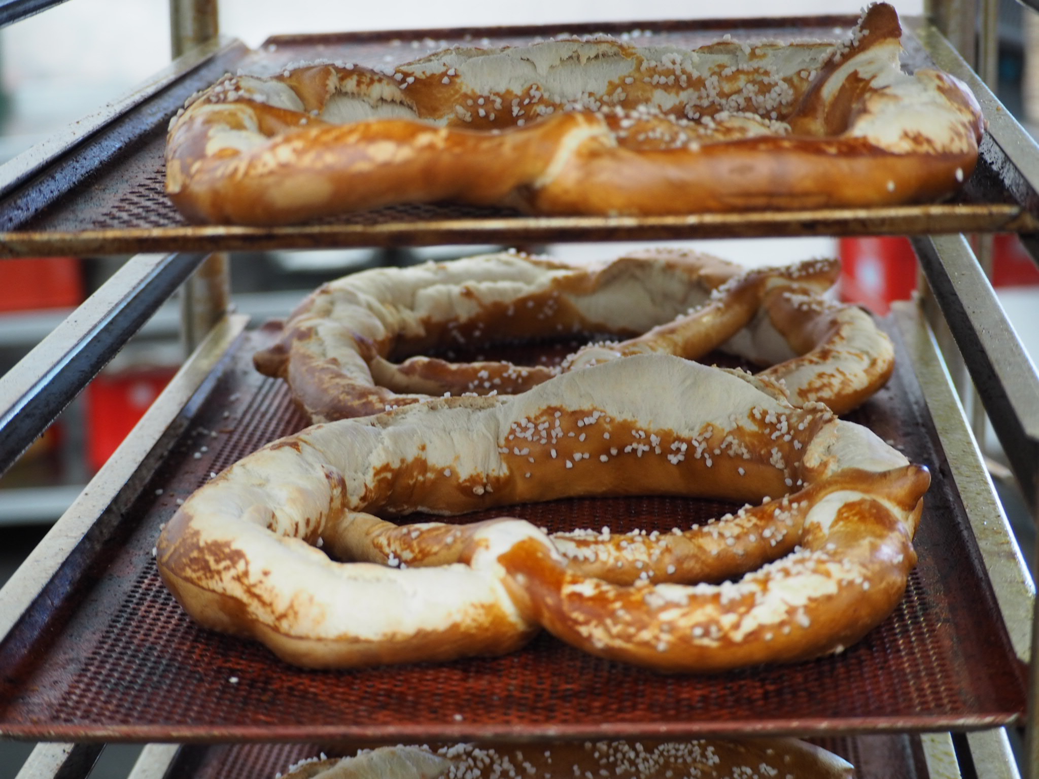 Echte Duitse Brezel Brezen Pretzel of krakeling