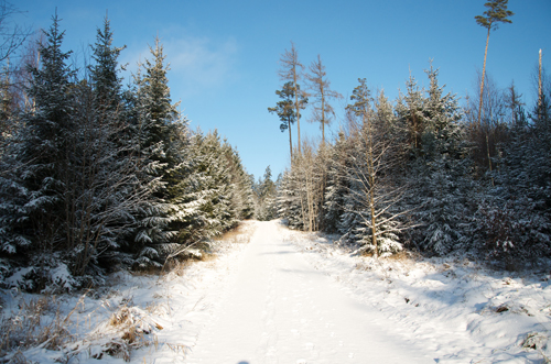 Winterwandelen Duitsland Beieren Altmühltal