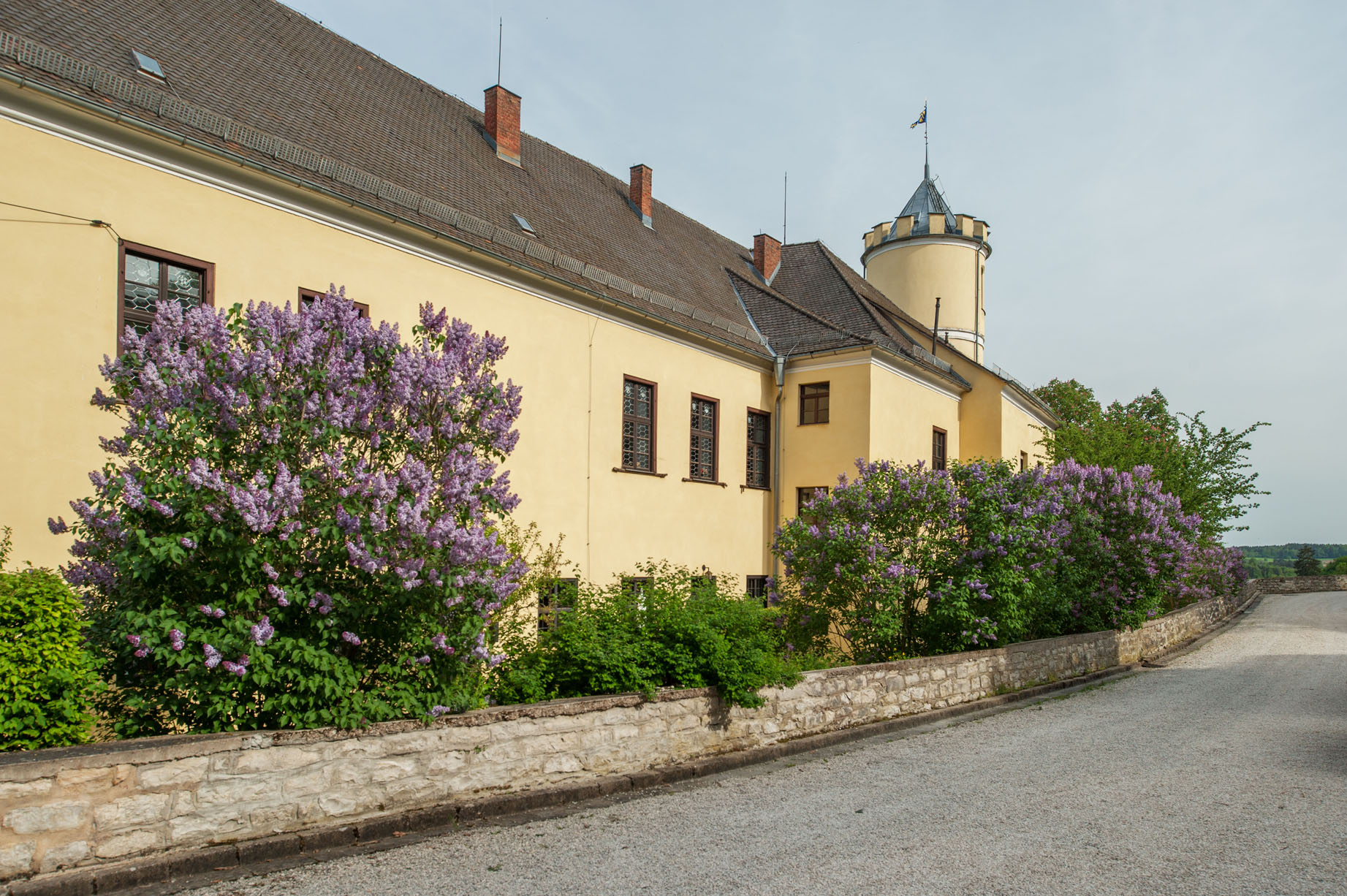 basis voor het schloss logo