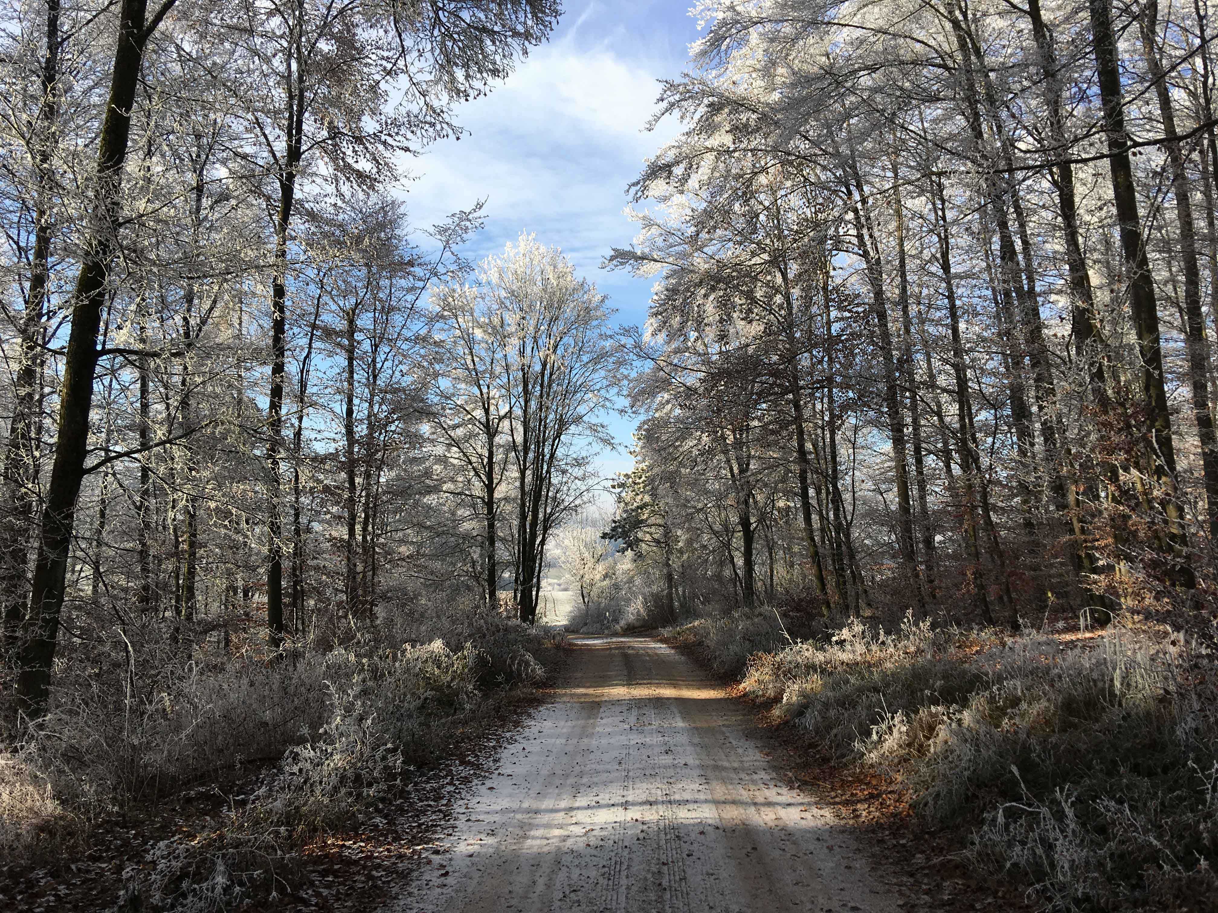 Winterwandelen in Beieren