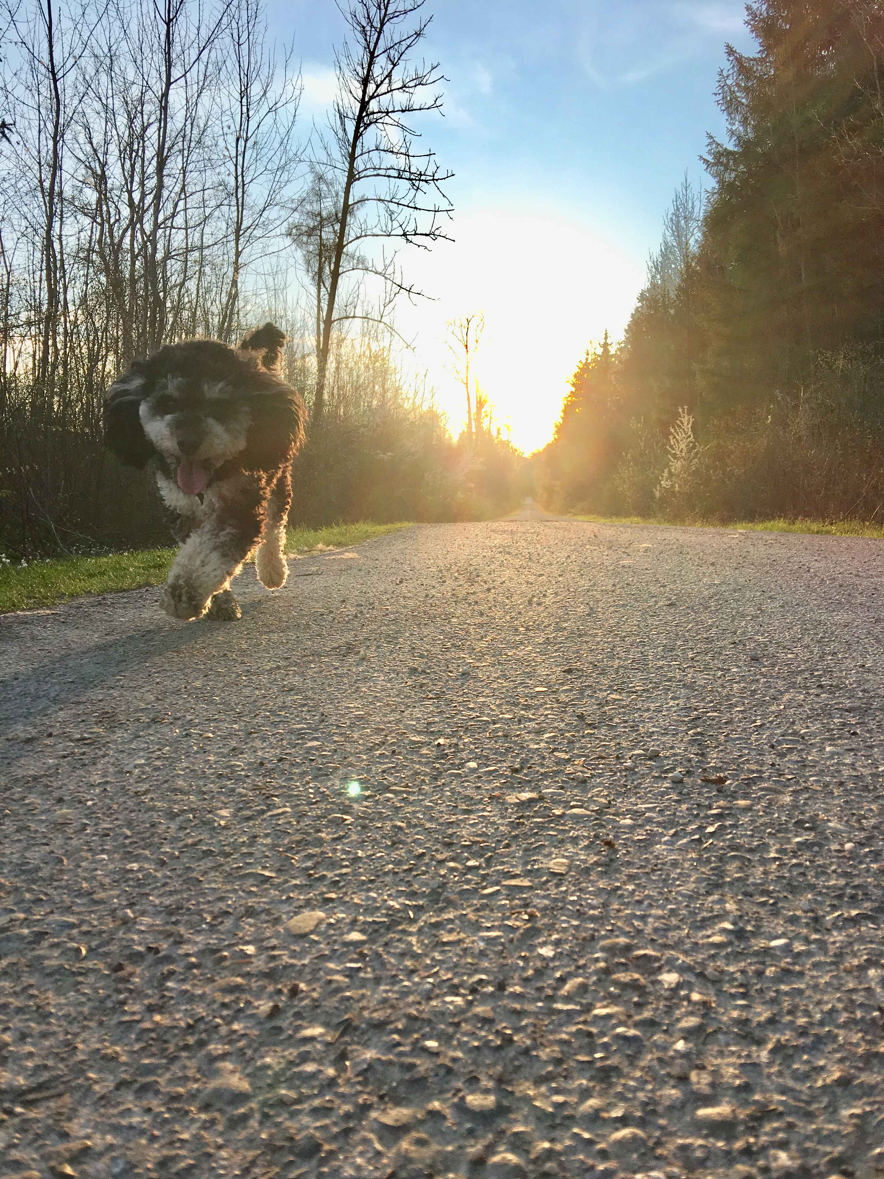 Kasteelleven wandelen