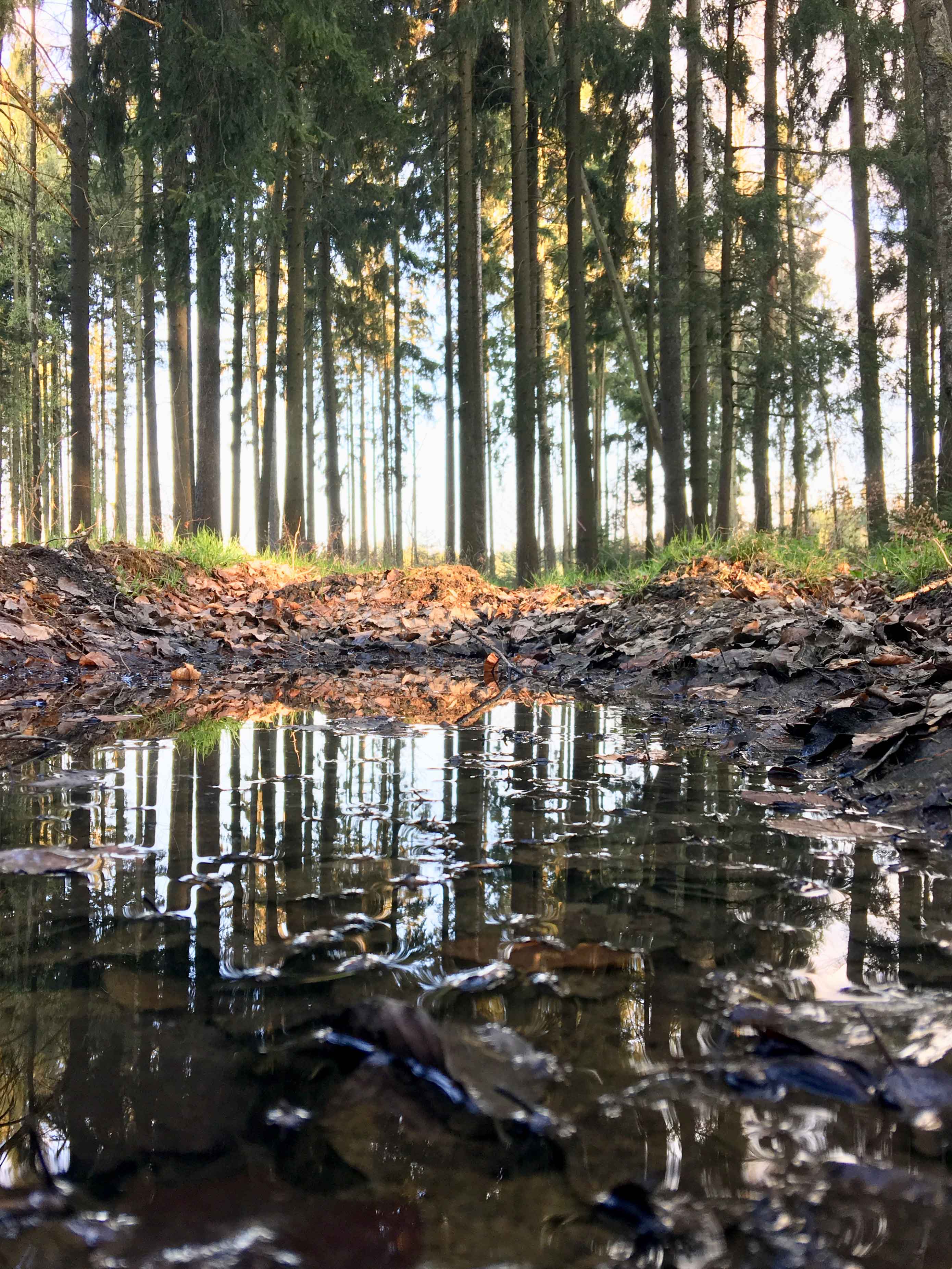 Kasteelleven is wandelen