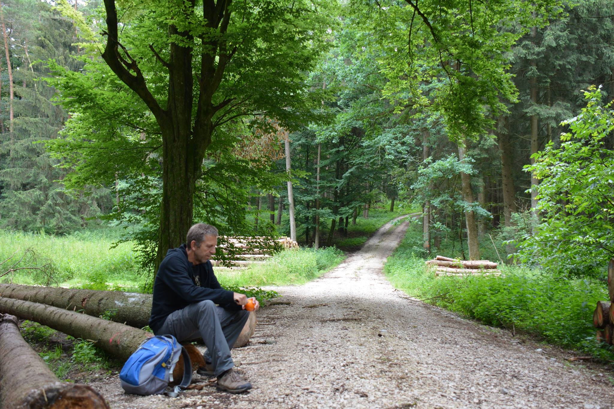 Wandelen in het natuurpark Altmühltal 