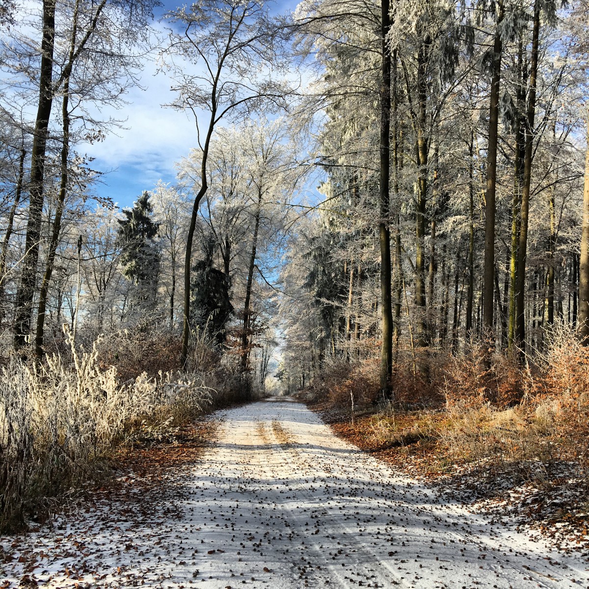 winterwandeling