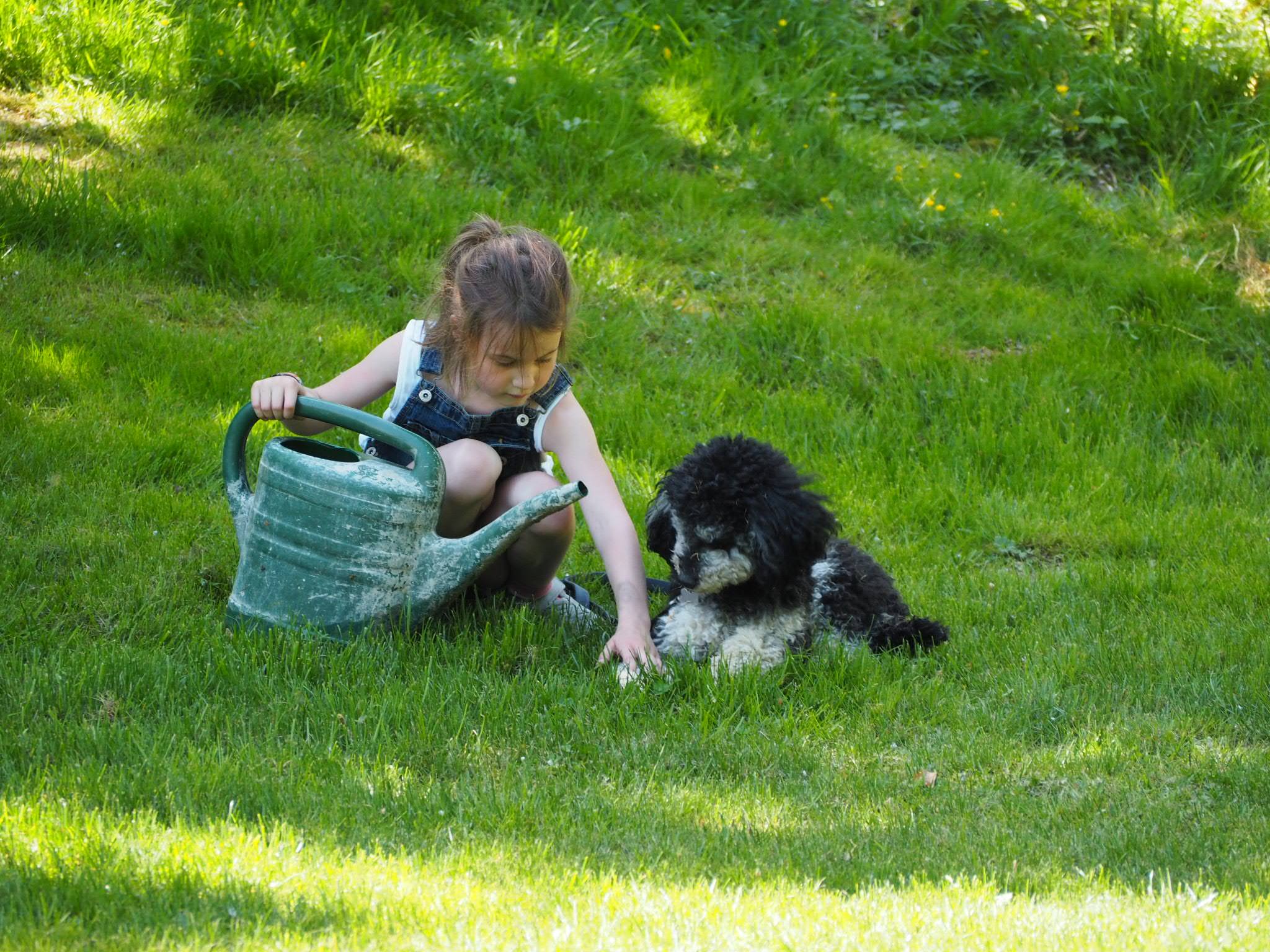 Vakantiehuis Duitsland met hond