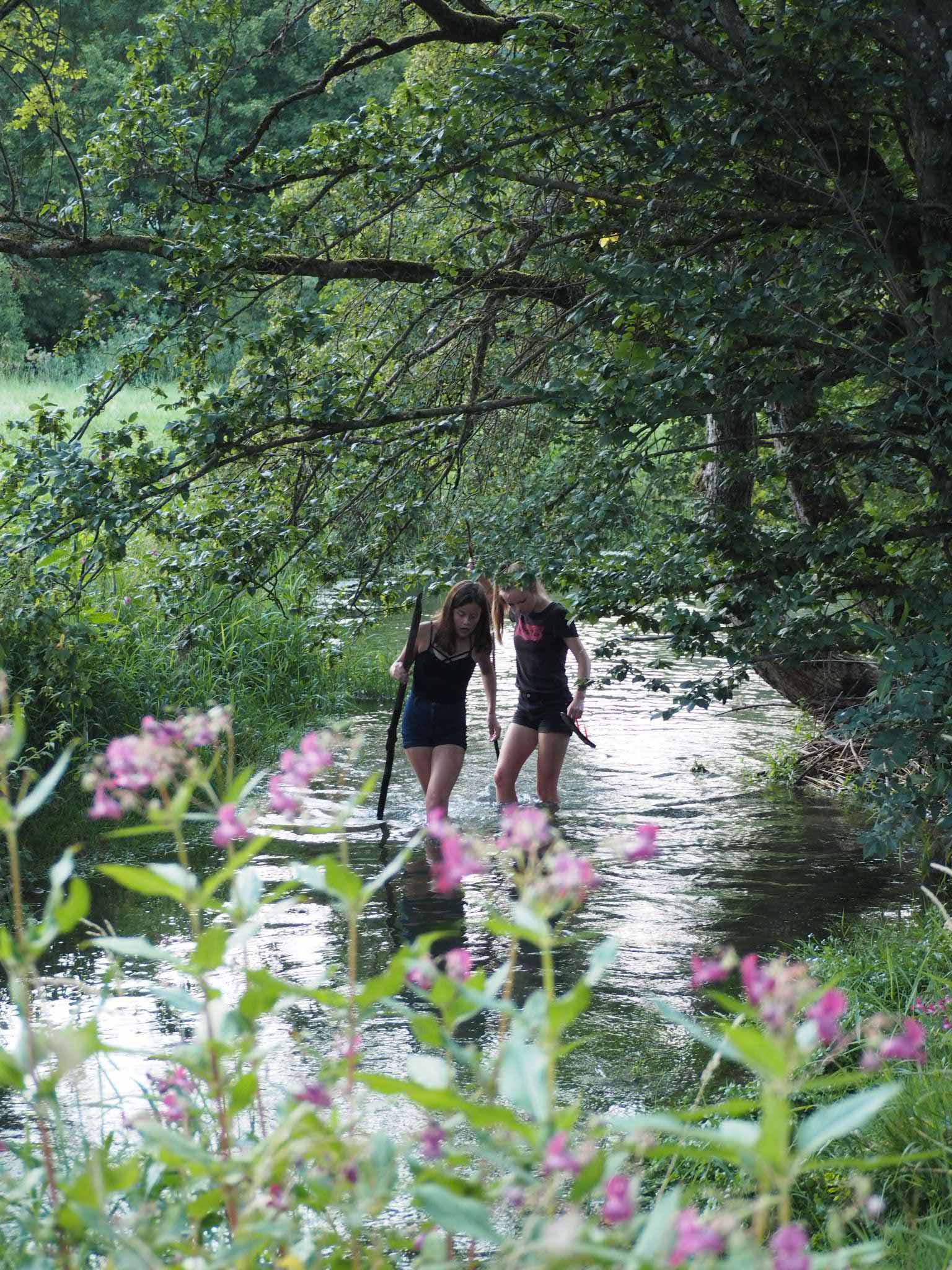 Zomer 2018