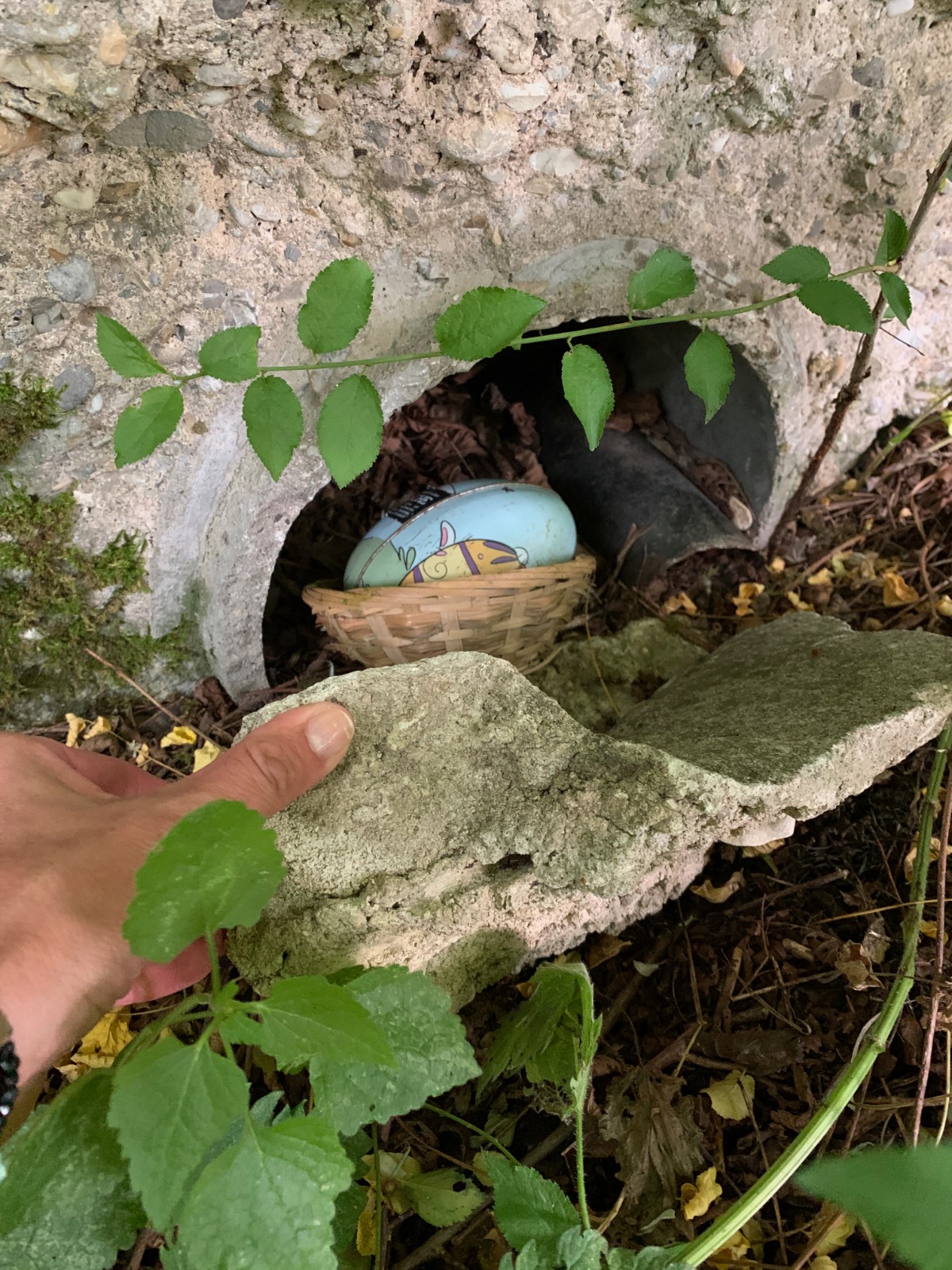 Geocaches rond je vakantiehuis op het kasteel In de omgeving van je vakantiehuis op het kasteel liggen meerdere caches verstopt. In Treuchtlingen bv bij de Romeinse ruine 'Villa Rustica, het Kurpark en de oude locomotief of langs de wandelroute op de Nagelberg. In Möhren heb ik een geocache verstopt met uitzicht over het dorp en ons kasteel. Mocht je nieuwsgierig zijn, mijn verborgen schat heet ‘Brandwunde’ en je vindt hem op GC8YAG0. www.geocaching.nl (lidmaatschap vereist) .